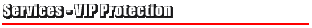 VIP Protection